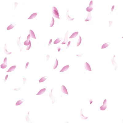 Hanami (花見)